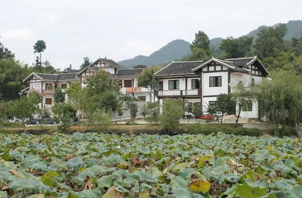 337p日本大胆欧洲噜噜 回归乡村,方知幸福 【轻钢别墅】(图7) 337p日本大胆欧洲噜噜 回归乡村,方知幸福 【轻钢别墅】(图7)