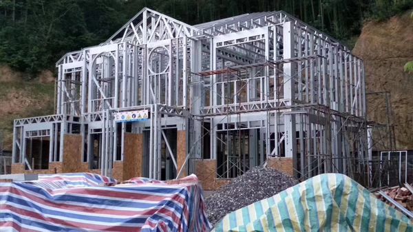 337P粉嫩大胆色噜噜噜 冷弯型钢建筑轻钢房屋资料汇总(图1) 睿婕轻钢别墅