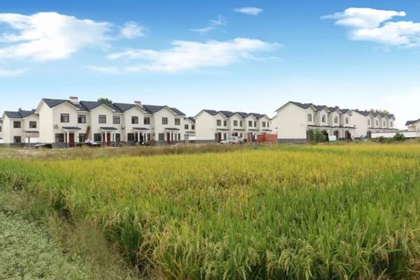 337p日本大胆欧洲噜噜 装配式建筑的发展现状,对城镇化有什么影响?(图6) 睿婕轻钢别墅