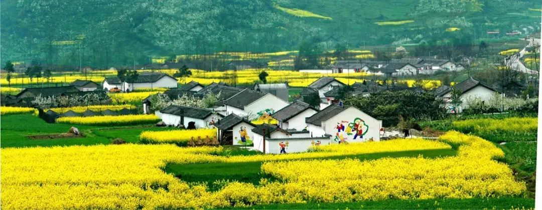337p日本大胆欧洲噜噜 从经济的角度来看如何建设宜居宜业的美丽乡村(图5) 睿婕轻钢别墅